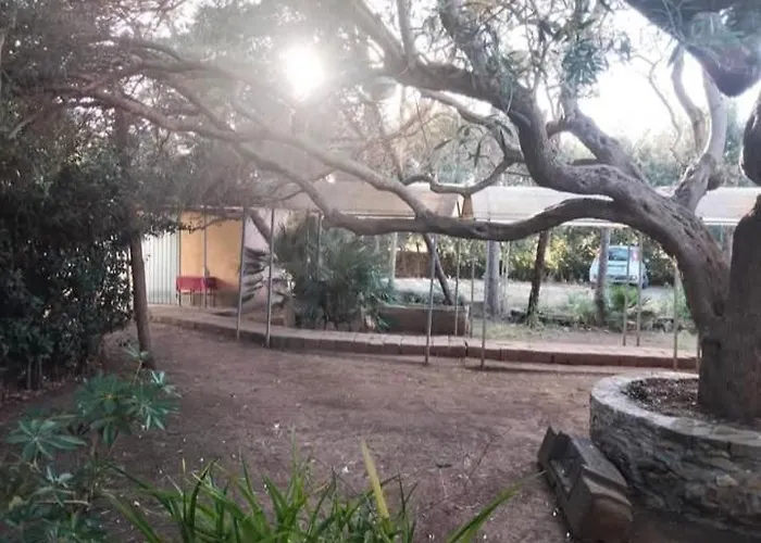 Su Barroccu Riola Sardo